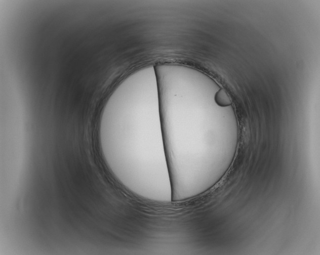 X0000116340739200912011018