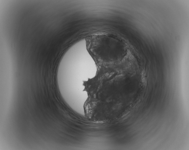 X0000116340741200912011018