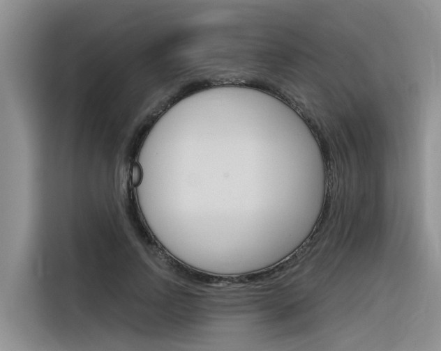 X0000116340742200912011018