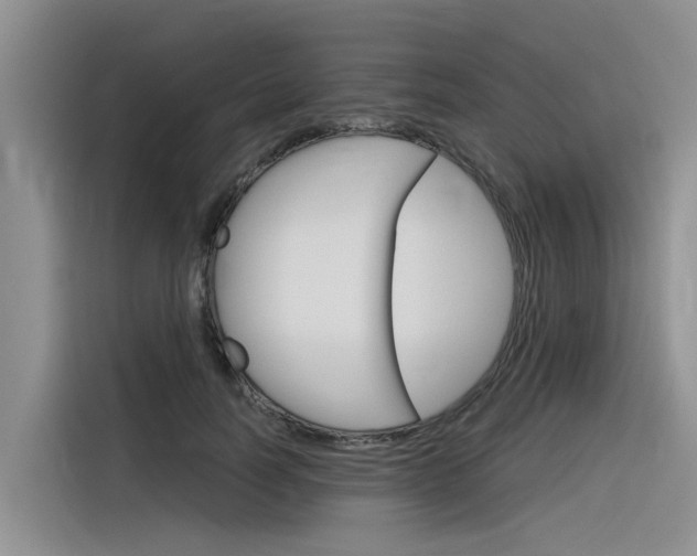 X0000116340746200912011018