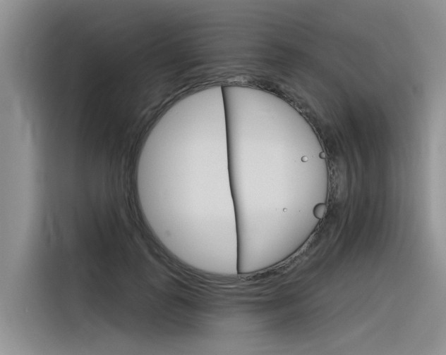X0000116340747200912011018