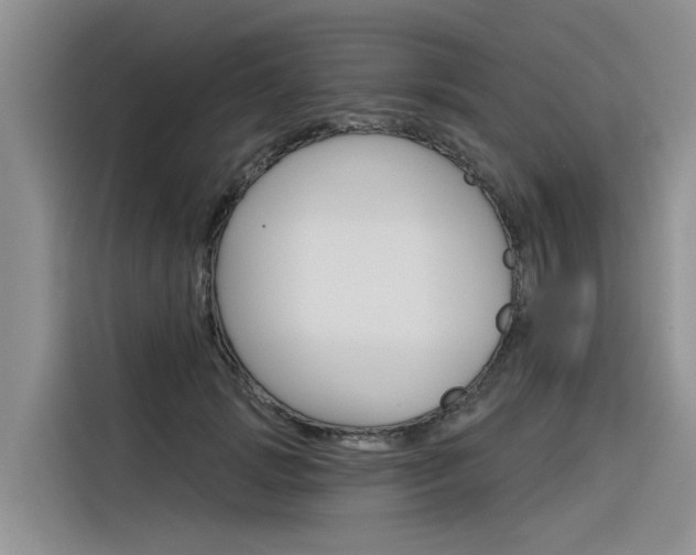 X0000116340749200912011018