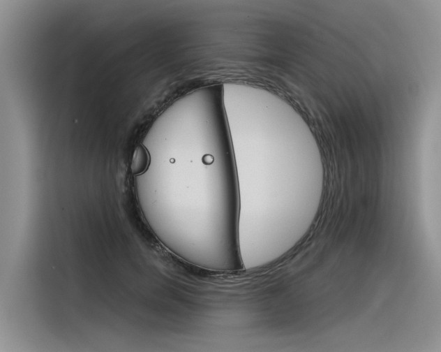X0000116340750200912011018