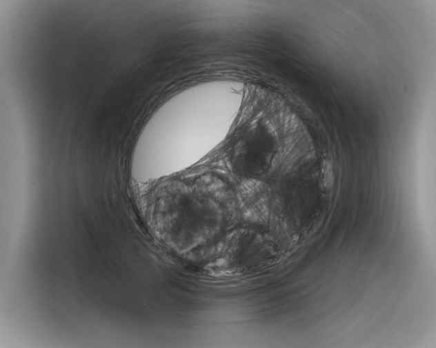 X0000116340753200912011018