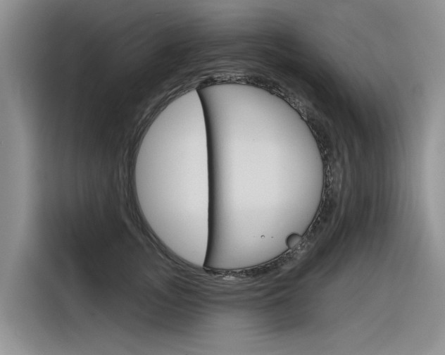X0000116340755200912011018