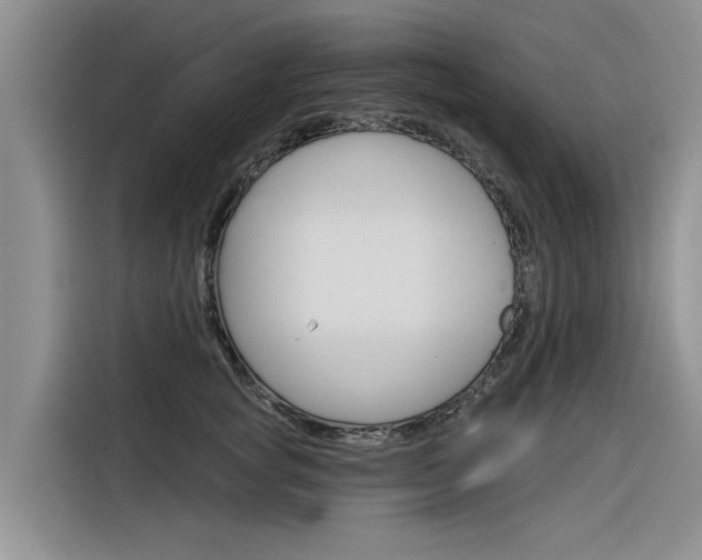 X0000116340757200912011018