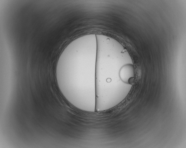X0000116340759200912011018
