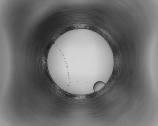 X0000116340761200912011018