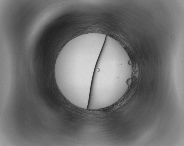 X0000116340763200912011018