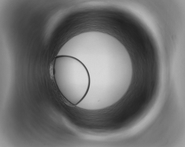 X0000116340766200912011018