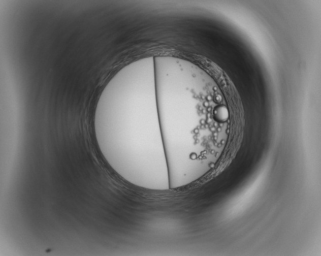 X0000116340767200912011018