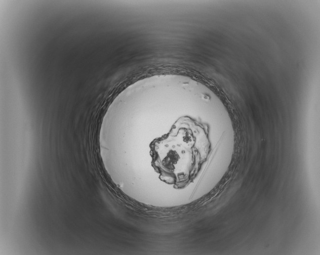 X0000116340769200912011017