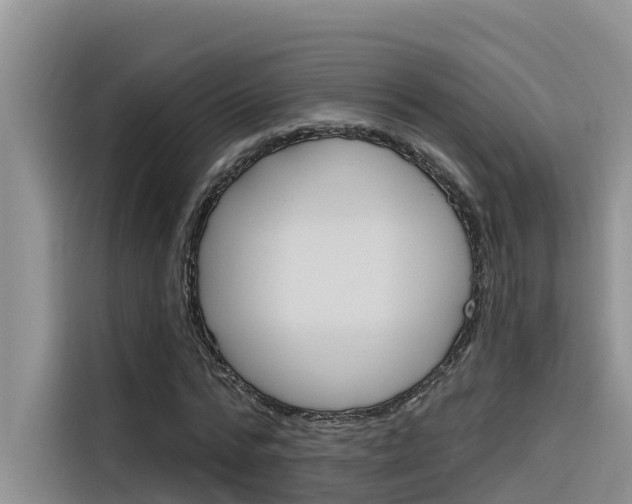 X0000116340776200912011017