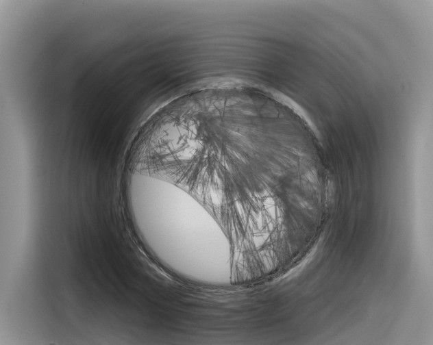 X0000116340778200912011017