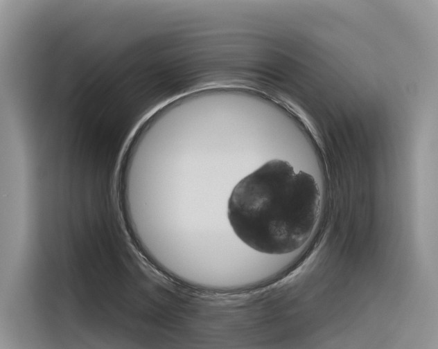 X0000116340779200912011017