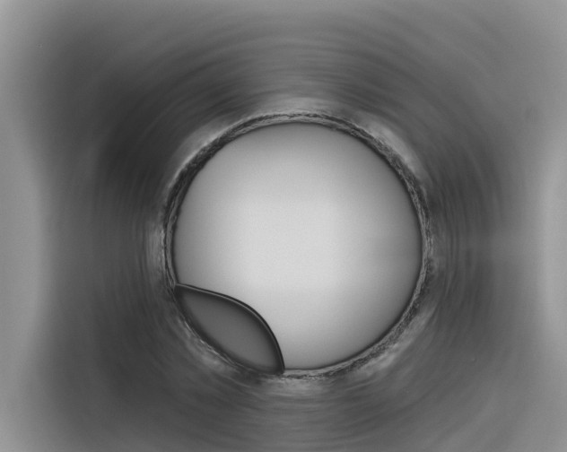X0000116340781200912011017