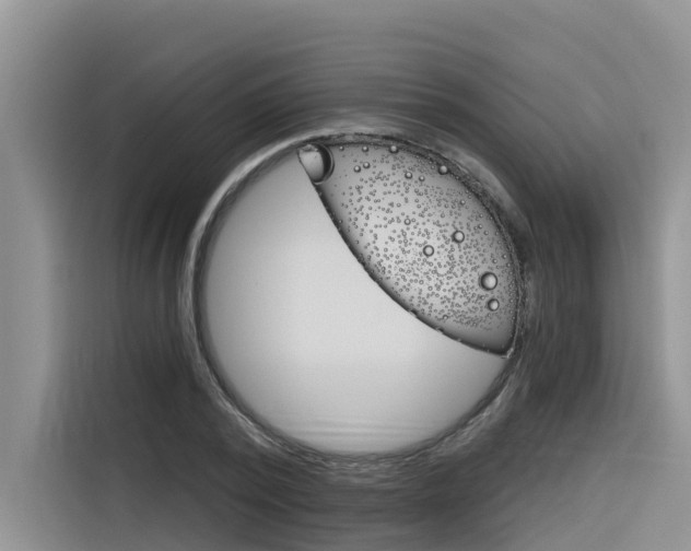 X0000116340784200912011017