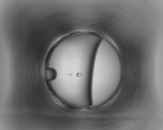 X0000116340787200912011017