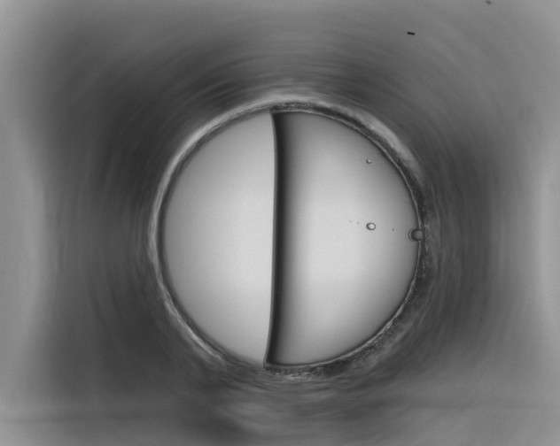X0000116340791200912011017