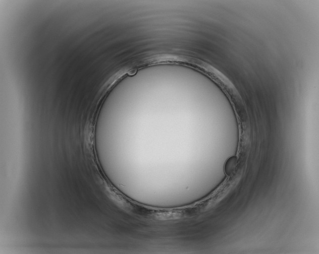 X0000116340793200912011017