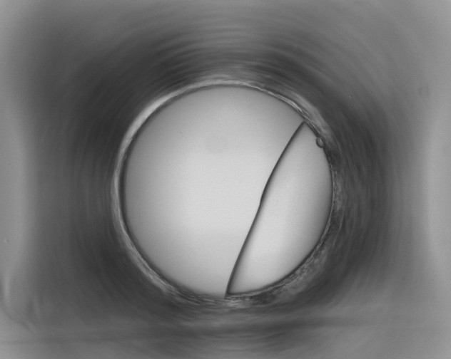 X0000116340796200912011017