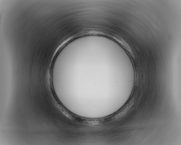 X0000116340798200912011017