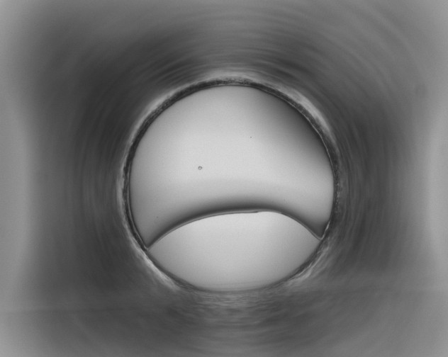 X0000116340799200912011017