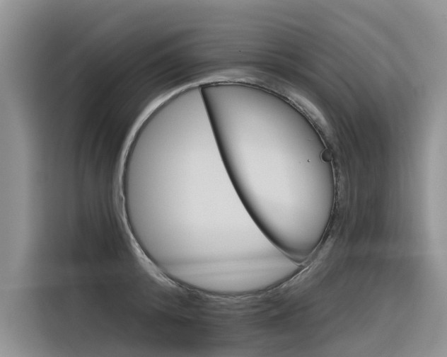 X0000116340800200912011017