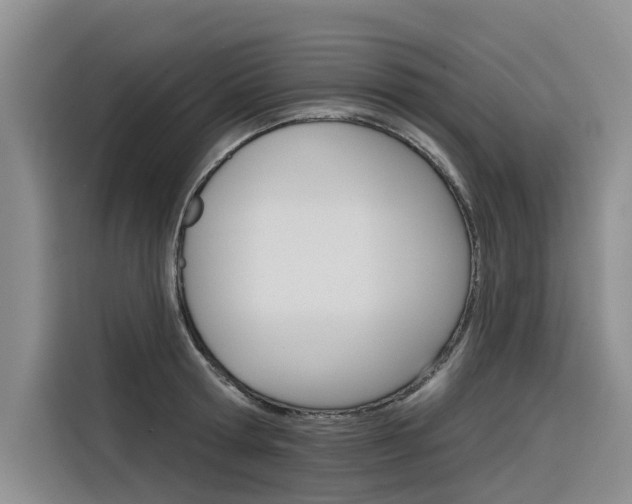X0000116340802200912011017