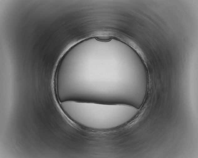 X0000116340803200912011017