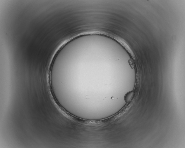 X0000116340805200912011017
