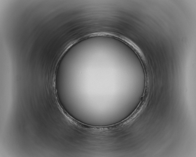 X0000116340809200912011017