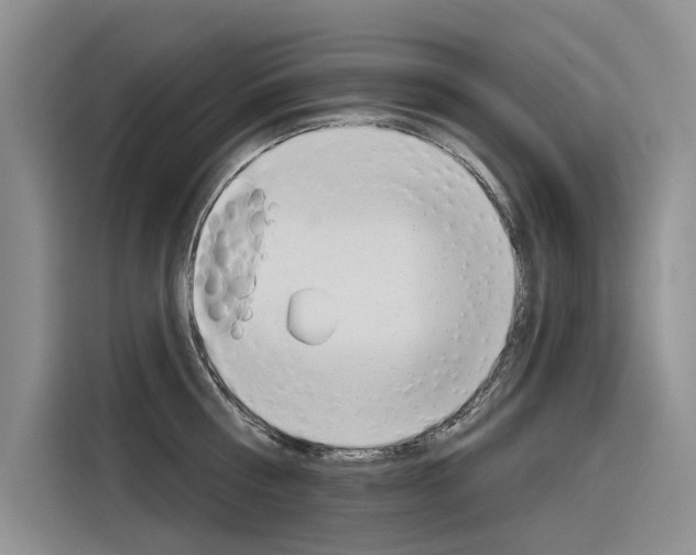 X0000116340810200912011017
