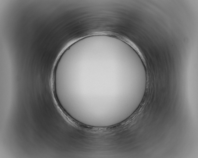 X0000116340811200912011017