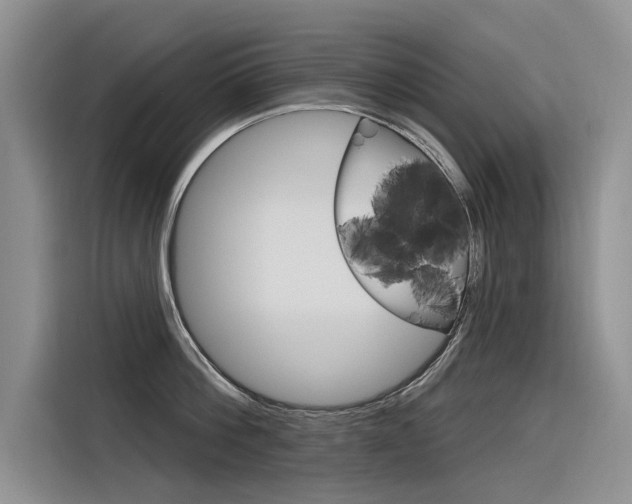 X0000116340812200912011017