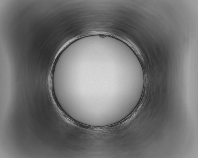 X0000116340814200912011017
