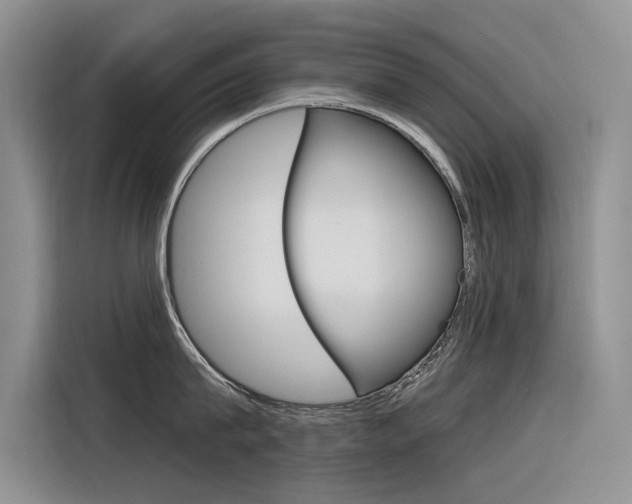 X0000116340815200912011017