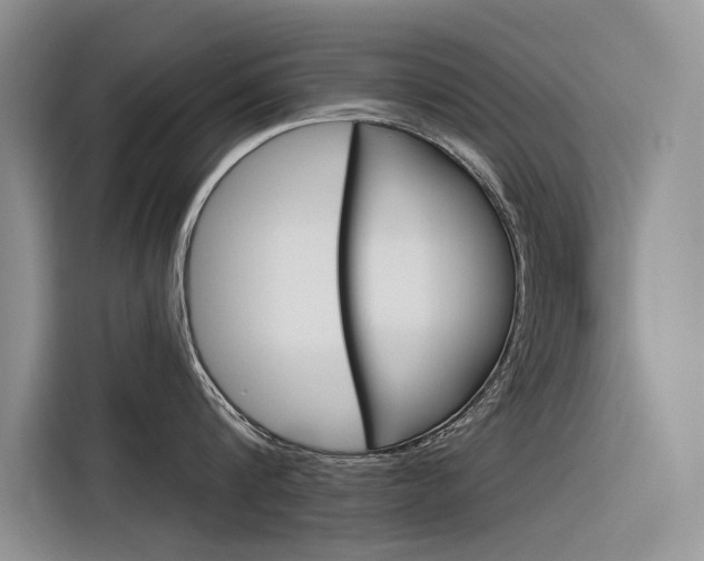 X0000116340816200912011017