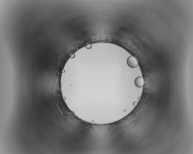 X0000116340820200912011016