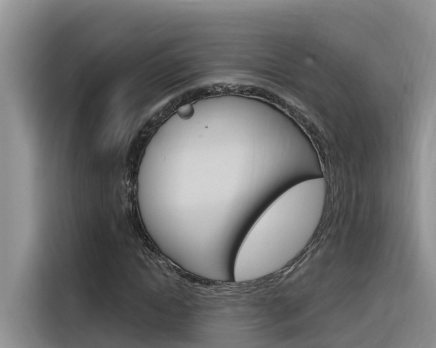 X0000116340822200912011016
