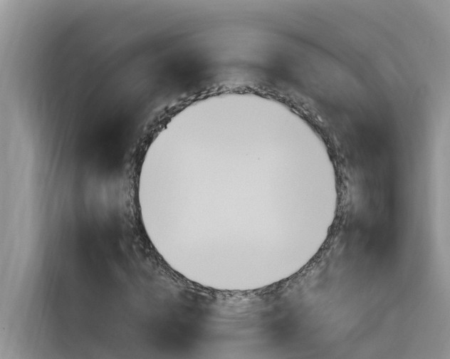 X0000116340824200912011016