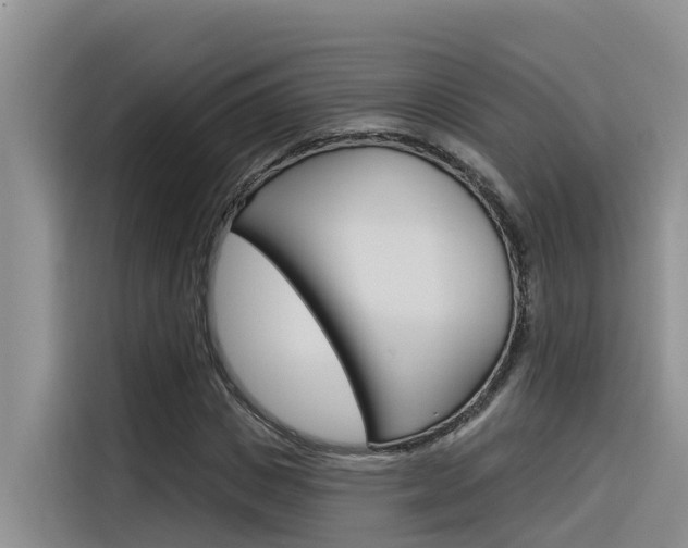 X0000116340825200912011016