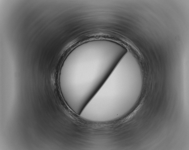 X0000116340826200912011016