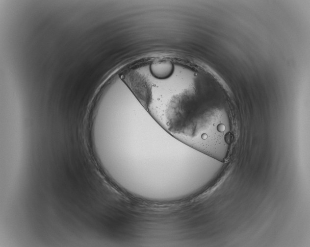 X0000116340829200912011016