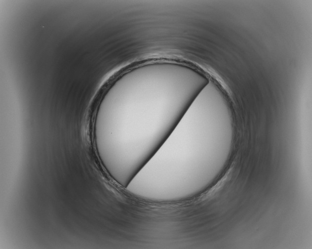 X0000116340830200912011016