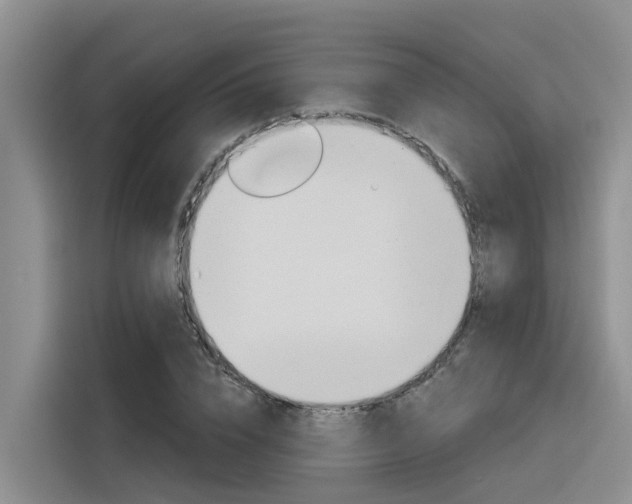 X0000116340832200912011016