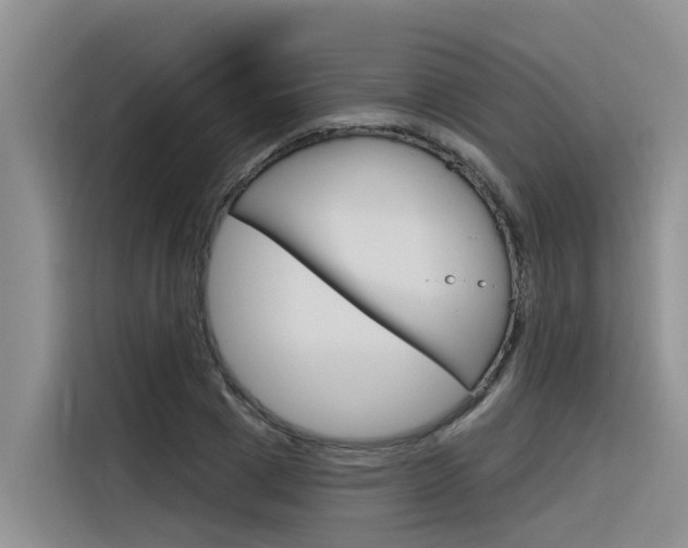 X0000116340833200912011016