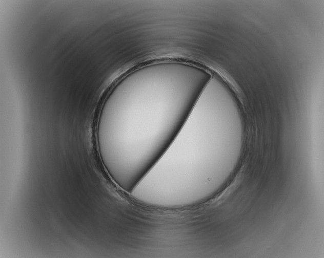 X0000116340834200912011016