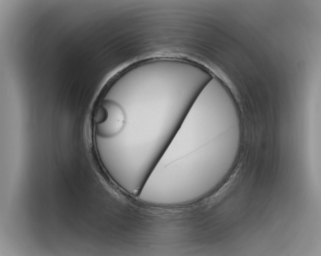 X0000116340838200912011017