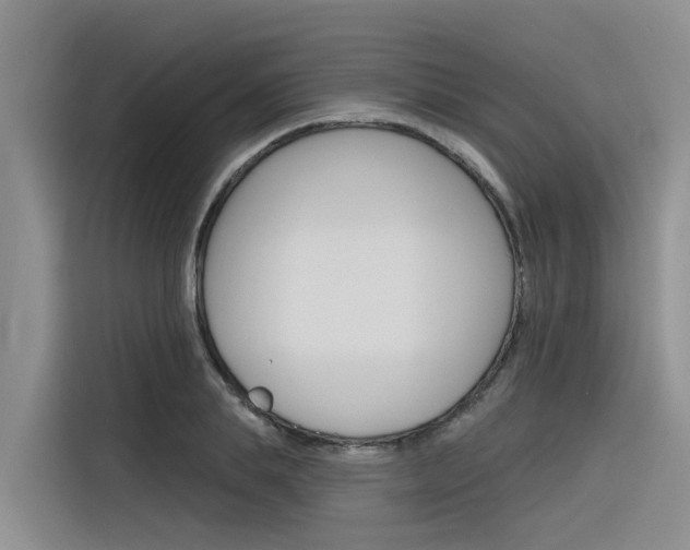 X0000116340839200912011017